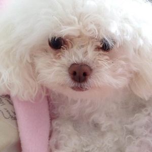 Meet your Posher, France-claudia